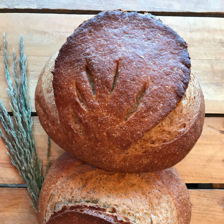 Du bon pain… croûte que croûte