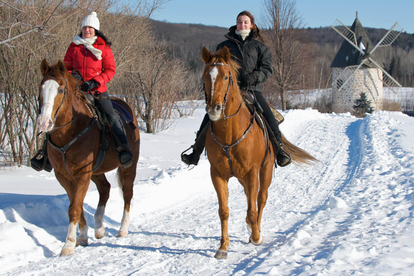 Le Baluchon Éco-villégiature - équitation en hiver