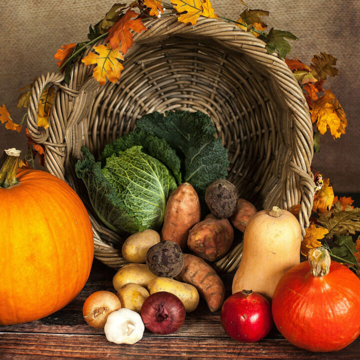 Rendez-vous d’automne de Charette Légumes - automne