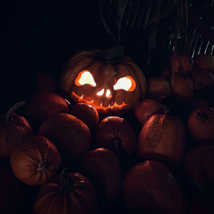 Halloween à Saint-Boniface Citrouilles - Halloween