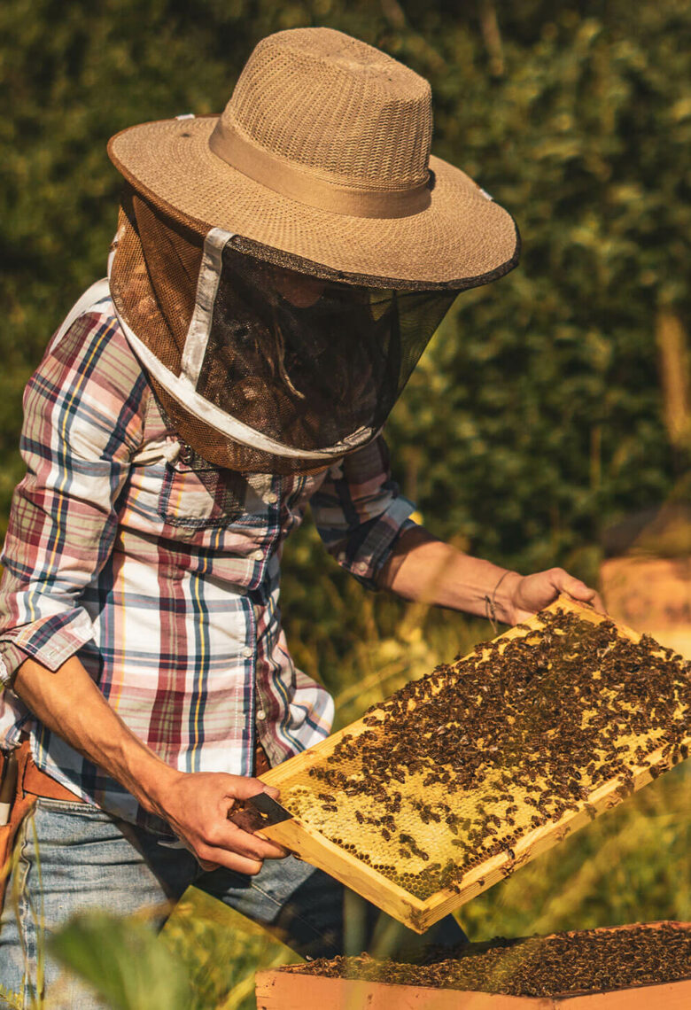 Tourisme Maskinongé | Mauricie