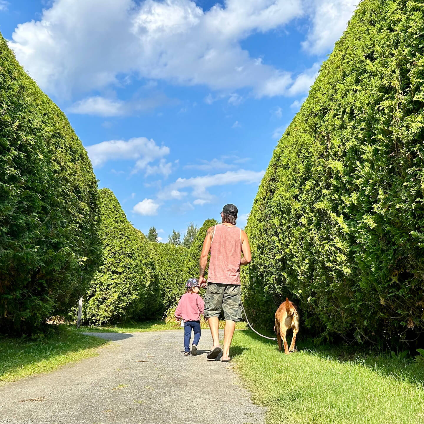 Labyrinthe Coureur des Bois - Stéphanie Bédard