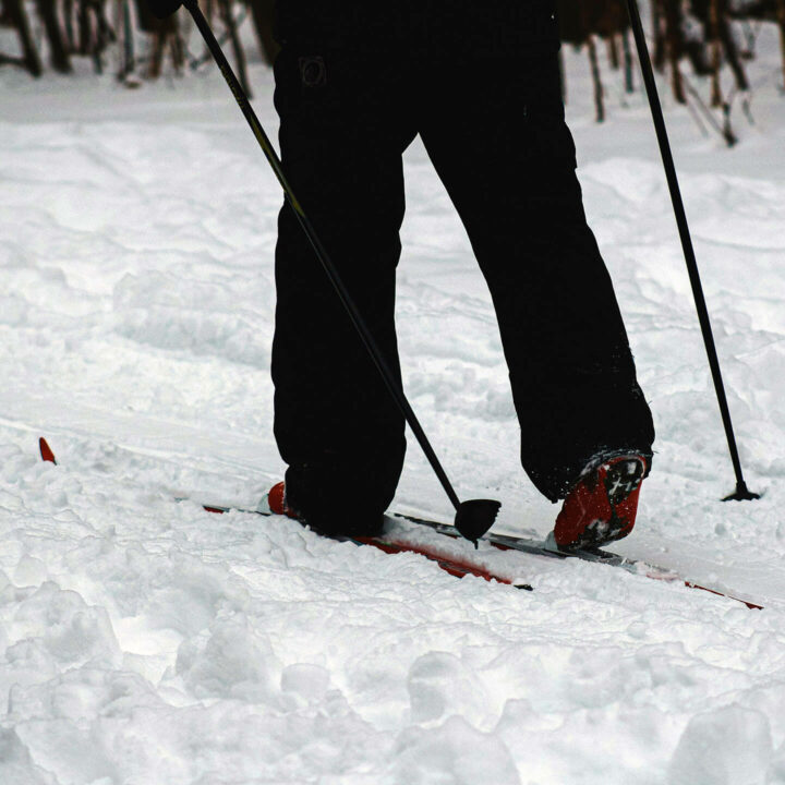 Ski de fond