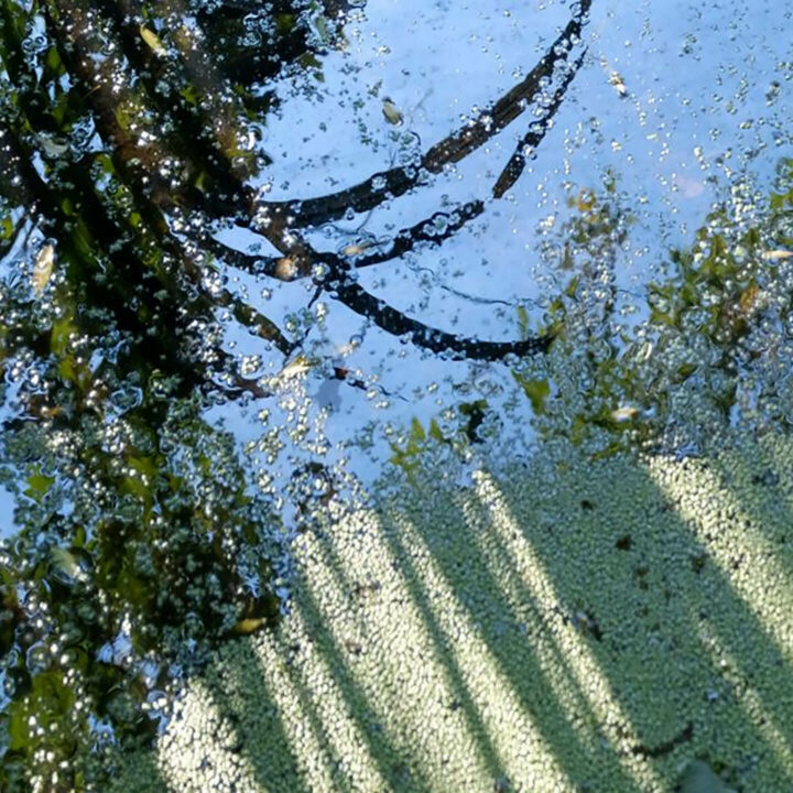 Exposition Réflexions Exposition Réflexions par André Caron