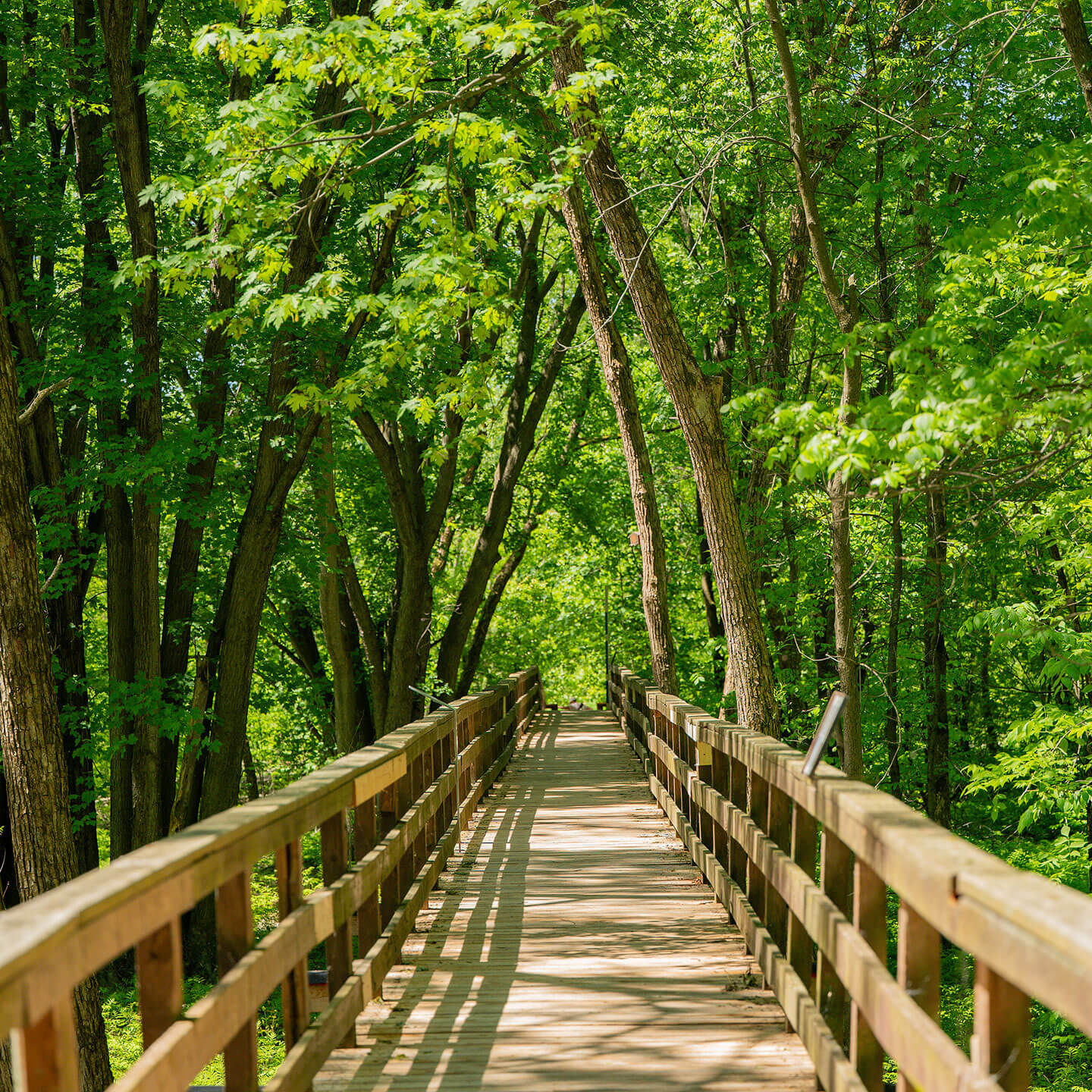 Passerelle Pointe-à-Caron