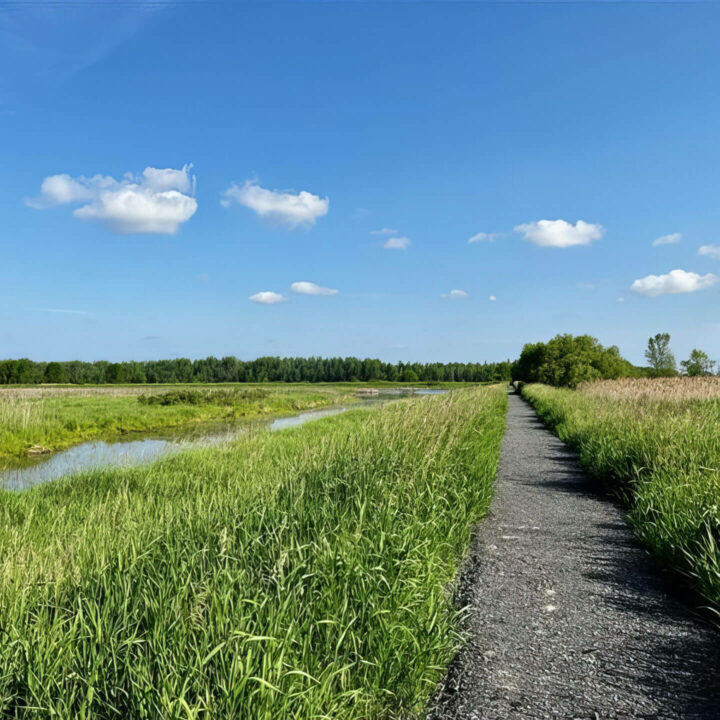 Sentier des Migrateurs