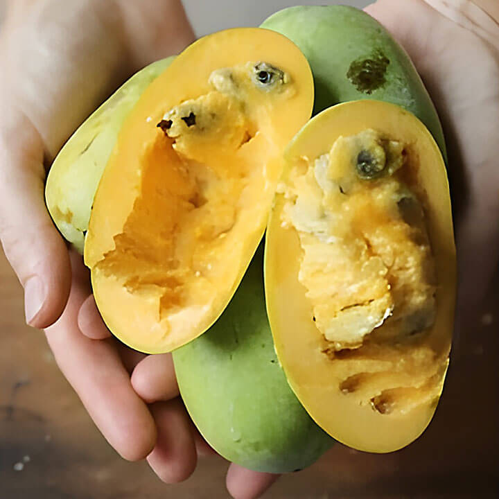 Journée familiale : dégustation de pawpaws Fruit pawpaw