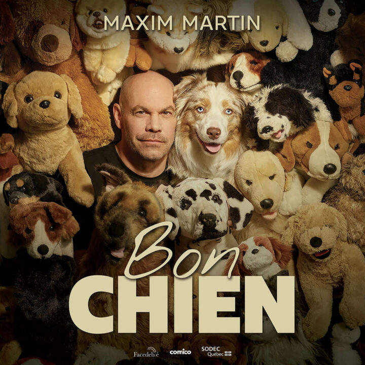Maxim Martin : Bon chien