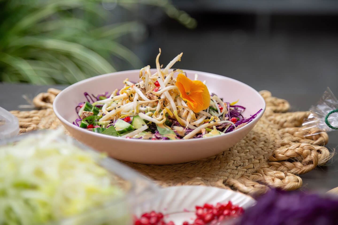 Salade - Les Soeurs Clément