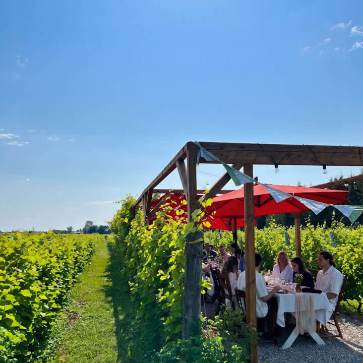 Rural - tables champêtres éphémères : La dinette dominicale, Vignoble et Domaine Beauchemin