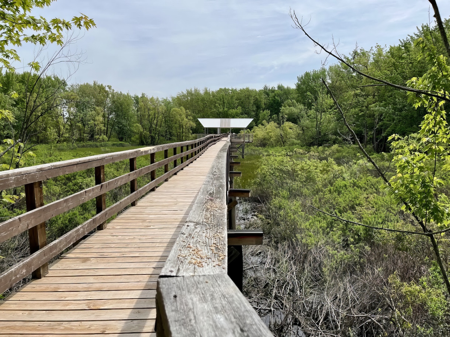 Passerelle Pointe-à-Caron, Louiseville