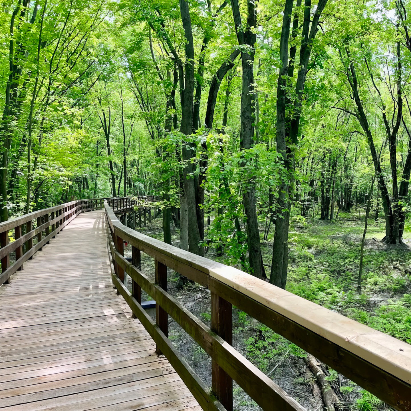Passerelle Pointe-à-Caron, Louiseville