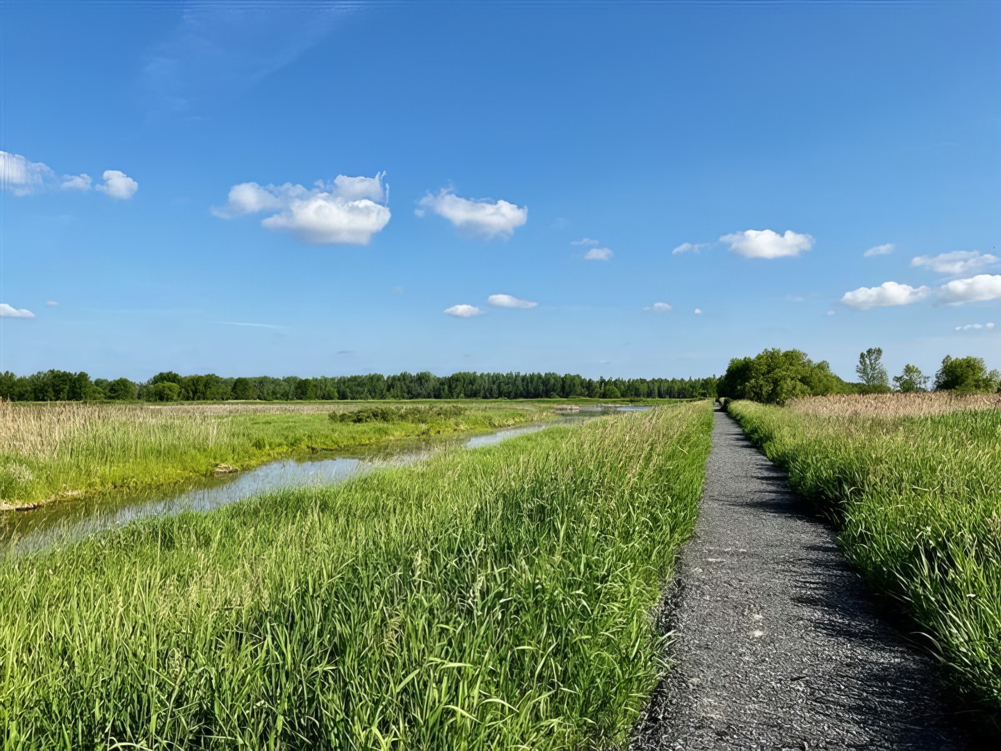 Sentier des Migrateurs