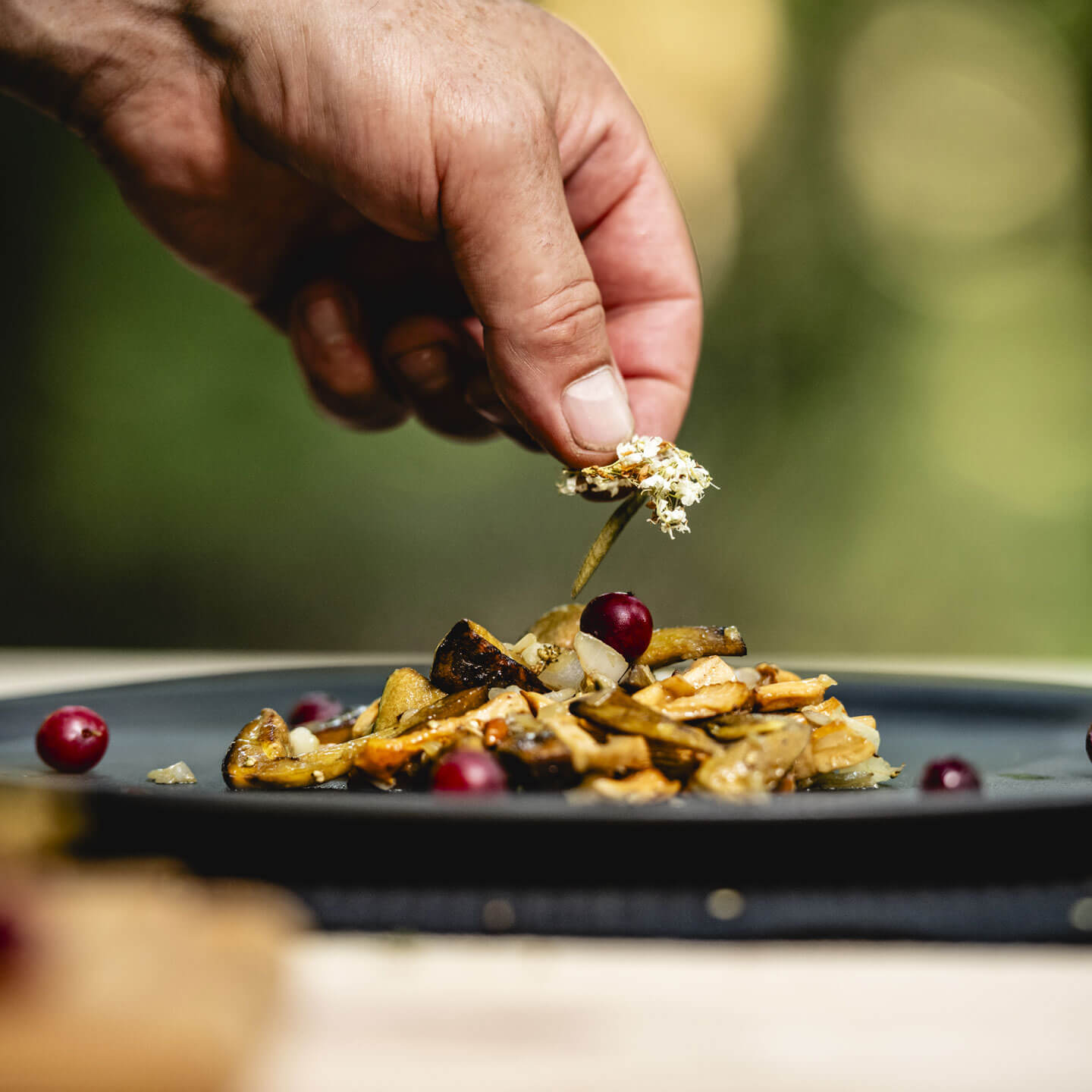 Frédélys -Table en forêt